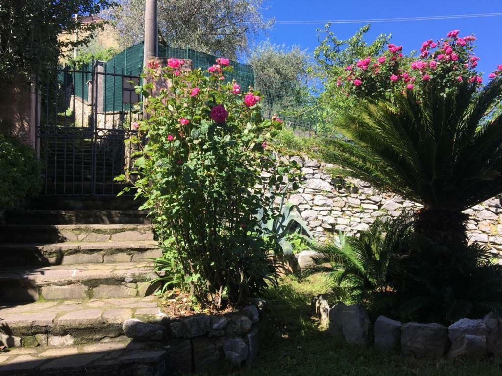 Tre Pini Apartment La Spezia Buitenkant foto